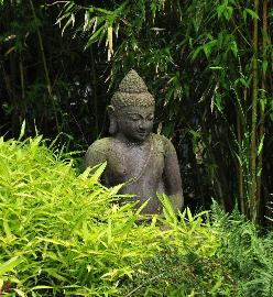 AppelternsfeerbeeldenBuddha