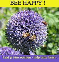 Beehappylaatjetuinzoemenkort