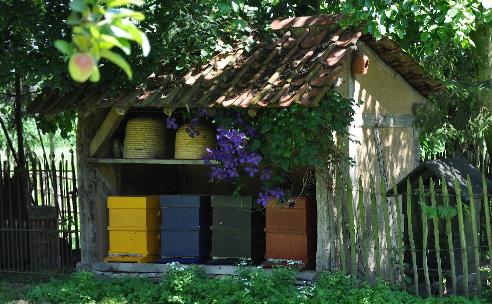 Bijenvolken kassen