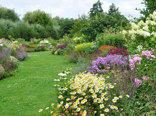 bordermetechinaceaphloxmonardahydrangeapan