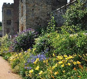 Borders-langs-kasteelmuur-Penhurst