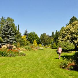 Bressingham-Foggy-Bottom-Garden-Adrian-Bloom-borders-met-coniferen