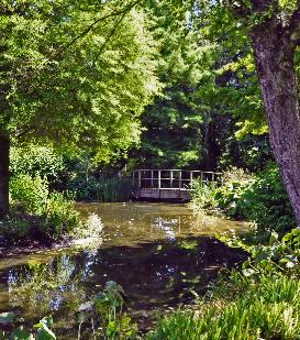 BressinghamFoggyBottomGardenAdrianBloomBridgeoverthePond