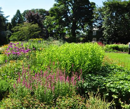 BressinghamGardensTheDellvasteplanteneilandborder