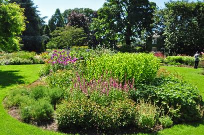 BressinghamGardensTheDellvasteplanteneilandborder2