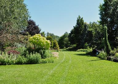 BressinghamTHeFoggyBottomGarden