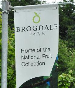 Brogdalefarmvlagbanner