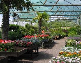 burfordnursery