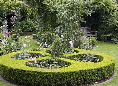 buxuscirkelplantvakken