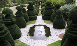 chateaudupintopiary