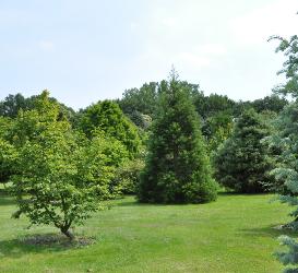 arboretum het leen siergrassen