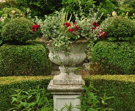 De tuin van Regine rozentuin deco vaas