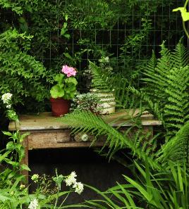 De tuin van Regine tafeltjeRV