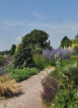 DryGardensfeerbeeldHydeHall