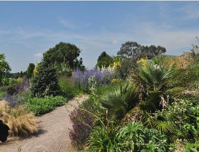 DryGardensfeerbeeldHydeHall