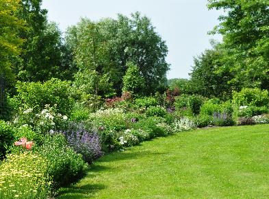 enkelevasteplantenborder