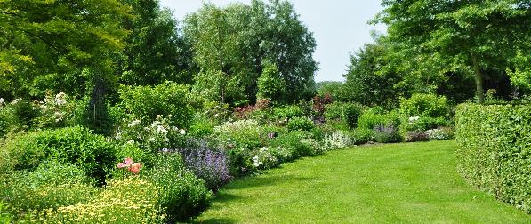 enkelevasteplantenborder