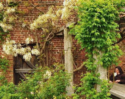 Erechteumpergola14mei2012