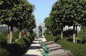 Foto20100418065921