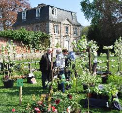 fruitbomenleivormenpepEnghien