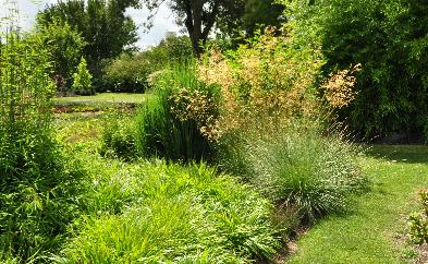 Grassenerf proefveld sortimentstuin