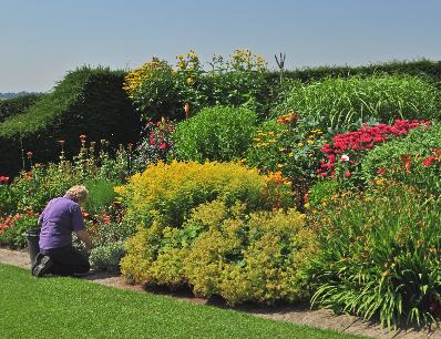HerbaceousbordersHydeHallvrijwilligersaanwerkdeadheaddenenzaadverzamelen2