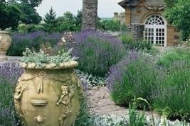 hestercombegarden