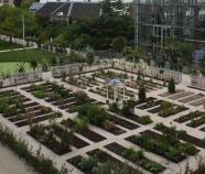 HortusbotanicusLeidenClusiustuin