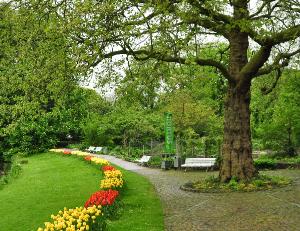 HortusbotanicusLeiden