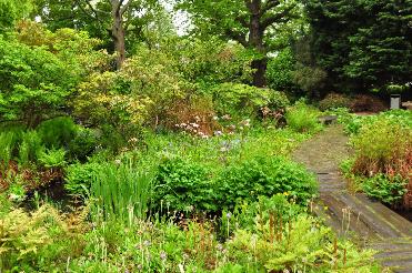 HortusbotanicusLeiden3