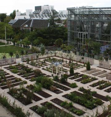 HortusbotanicusLeidenClusiustuin