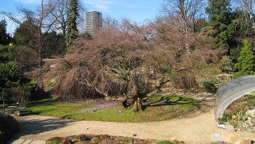 Jardindesplantesparis