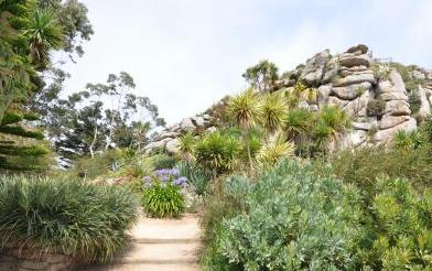 LejardinexotiquedeRoscoff