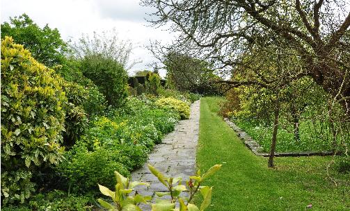 LongBorderfromLowerTerraceGreatDixter