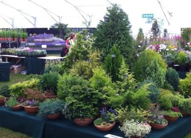 Malvern Autumn Show