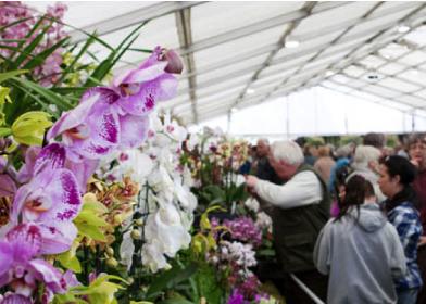 Malvern Spring Garden Show