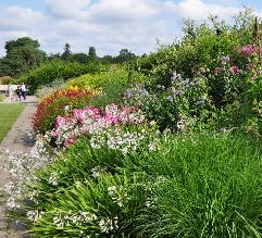 MixedbordersrhsgardenWisley