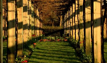 parcdebercy