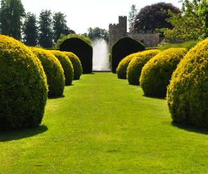 Penhursttopiary2