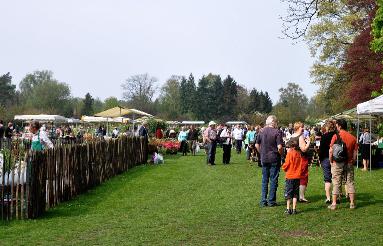 Fête des plantes au jardins d'Aywiers