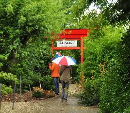 PlantentuinAceretumEsveldintheRain