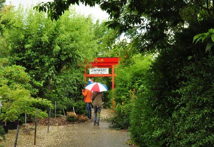 PlantentuinAceretumEsveldintheRain