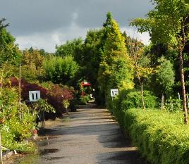 PlantentuinEsveldhakonecloahaagkwekerij