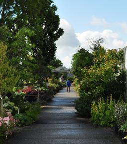 PlantentuinEsveldvooraan2