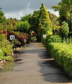 PlantentuinEsveldhakonecloahaagkwekerij