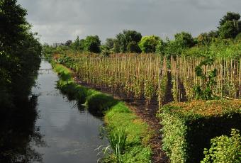 PlantentuinEsveldkanaalrechtsvollegrond