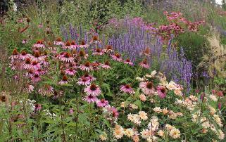 Prairieborder Lievesgarden  2013-2014