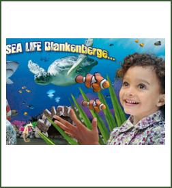 SealifecenterBlankenberge