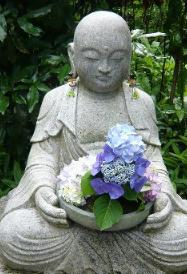 seatedbuddhahydrangeasryosukiyagiflickr7c