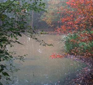 septtuin1320080021